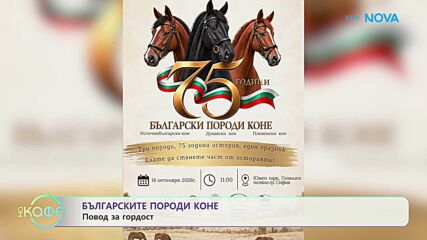 Българските породи коне: С грижа за опазване на традициите | На кафе | 13 окт. 2026