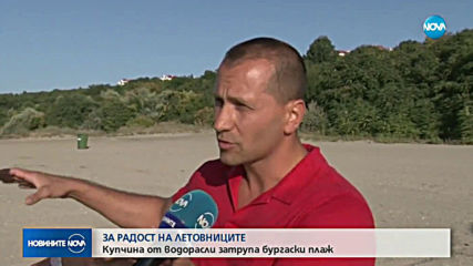 Кой изсипа камари с водорасли на плаж край Бургас?