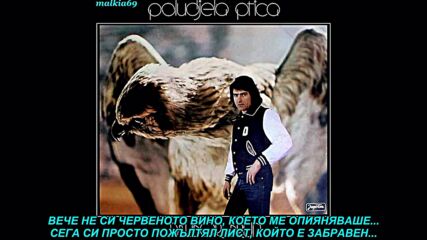 Dalibor Brun - Nisi ti vise crno vino (prevod)