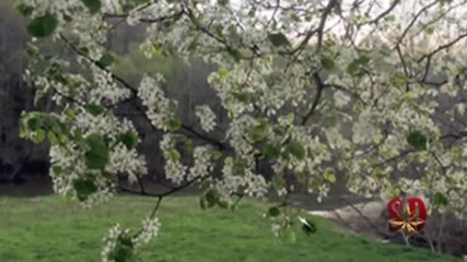 Welcome Spring