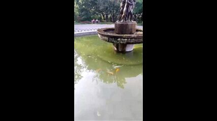 Vid_20230618_181904.mp4