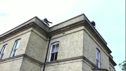Amazing Parkour 
