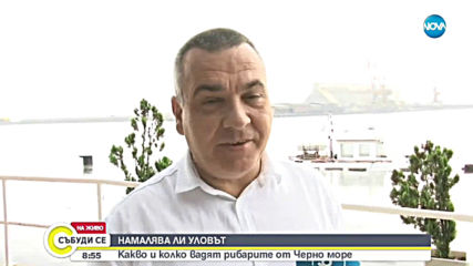 Създадоха наръчник за пазаруване на риба