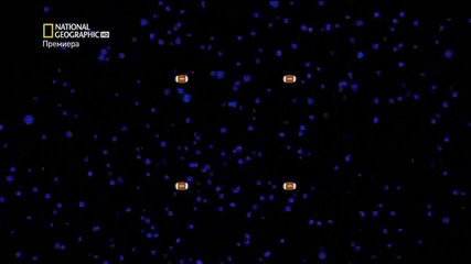 Brain Games S02 E01