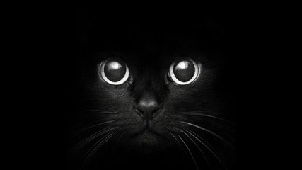 Denko ft. Yon - Dance of the dead soul (demo)