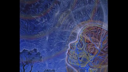 Alex Grey Gallery part2