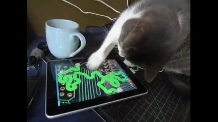 Котенце си играе с ipad 