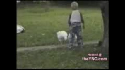 Animals Funny new funy 2009