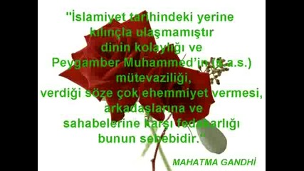 seni severek doumadim ama seni seveker olejeyim