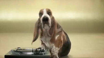 Куче Прави Beatbox 
