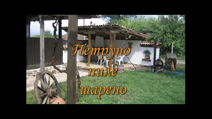 Петруно пиле шарено