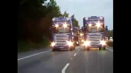 Miss Scania 2008 Truckshow