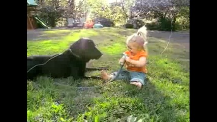 Baby And Dog - smqh 