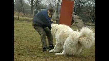 Внимавай не знаеш с кои ще си имаш работа
