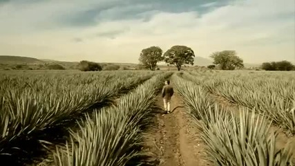 Ricardo Montaner - La Cancion Que Necesito