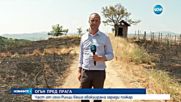 България в пламъци: Десетки хиляди декари - на пепел (ОБЗОР)