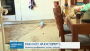 Бедствието в Северна България: Разрушени пътища, мостове и сгради, един човек е в неизвестност