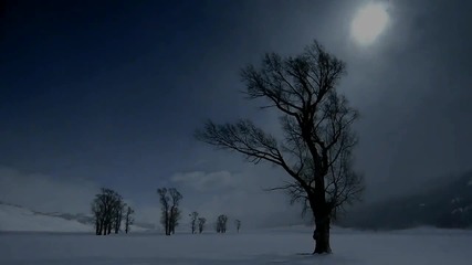 Страхотен Вокал! » Tritonal ft. Cristina Soto - Everafter [ Video With Winter Scenes by P R G ! ]