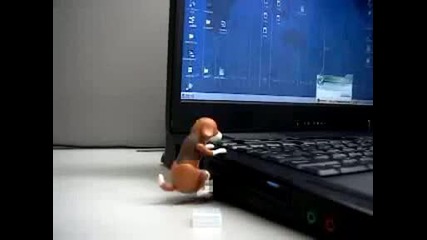 Humping Dog - usb stick - палаво куче голям смях :d