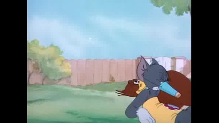 Tom & Jerry - Flirty Birdy