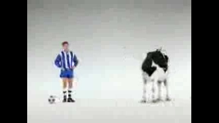 Реклама - Футболист Срещу Крава