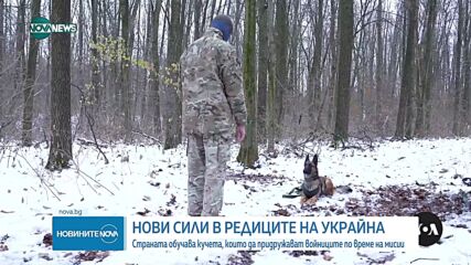 Кучета помагат на украинските войници срещу диверсанти