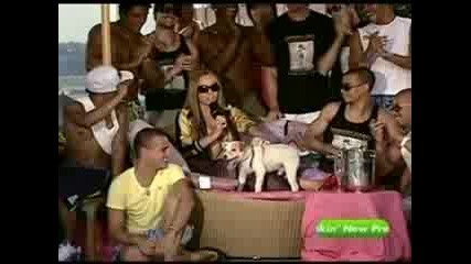 Jack@pool Side Trl
