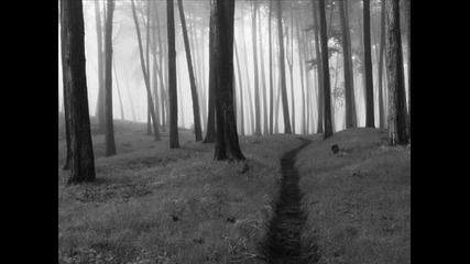 The Morningside - The Autumn People