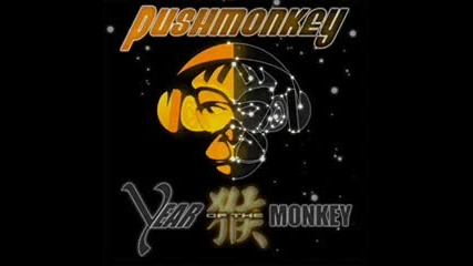 Pushmonkey - Rescue me