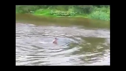 Това е да тичаш по водата!