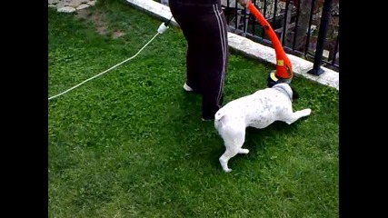 лудия Max