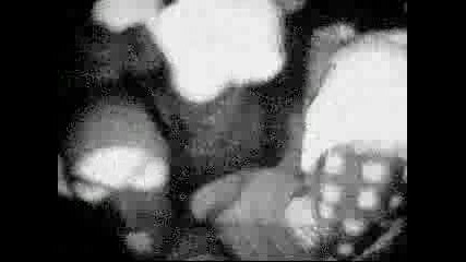 Shockwave - Ultimate Doom