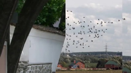 Сутрин в Пловдив