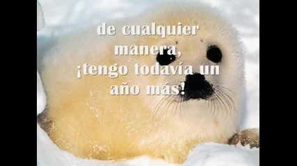 Reflexion - Un Ano Mas - Yanni