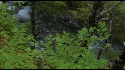 Man vs. Wild - Alaska - Disastrous Results