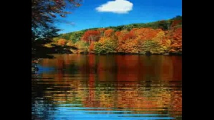Zucchero Sugar Fornaciari - Wonderful Life