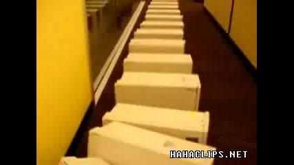 Domino Pc