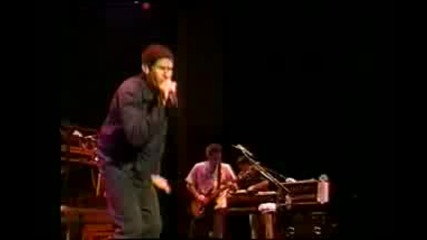 Beastie Boys (tibetan Freedom Concert 1999) Част 1