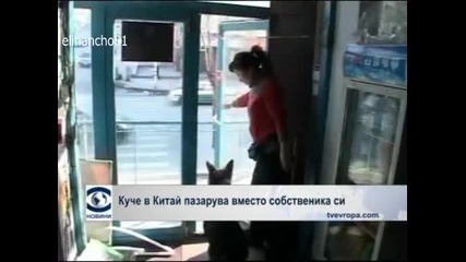 Куче пазарува вместо собственика си