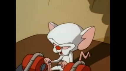 Pinky and the Brain,ep. 25 Hoop Schemes