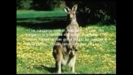 Amazing Animals това трябва да се види 