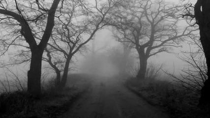 Nachtzeit - Dreams - Dissolution