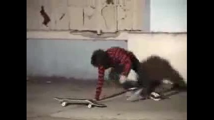 Отмъщението на скейтборда 