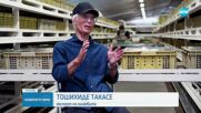Японец успя да култивира градински охлюви