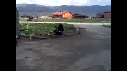 Разгонено Куче 