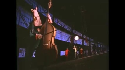 Primus - Mr. Krinkle Hq 