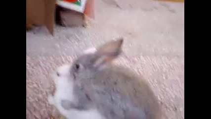 Zae6ki sex (super smqh) ;d