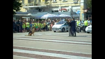 Демонстрация - демонстрация на работа с полицейско куче /03.07.09 Хасково/