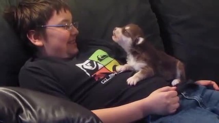 Дете учи малкото си кученце да лае