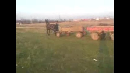 Pyrva pobeda na vihra 